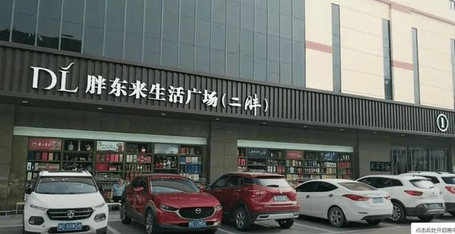 地游客爆满终于知道为啥走不出河南了麻将胡了越黑越红！端午节胖东来外(图6)